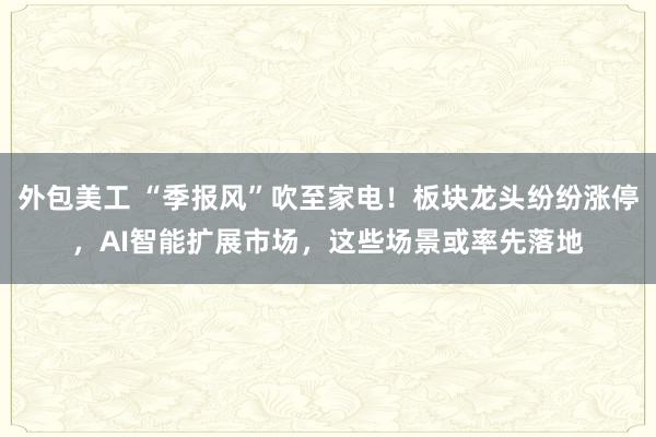 外包美工 “季报风”吹至家电！板块龙头纷纷涨停，AI智能扩展市场，这些场景或率先落地